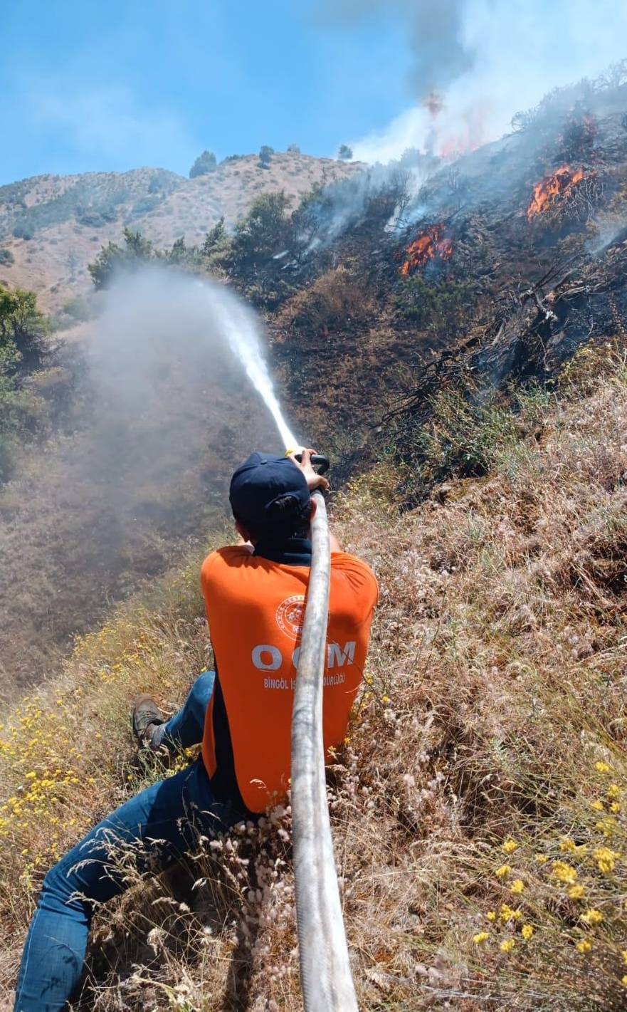 Bingöl'ün Genç ve Kiğı ilçelerinde orman yangını 12